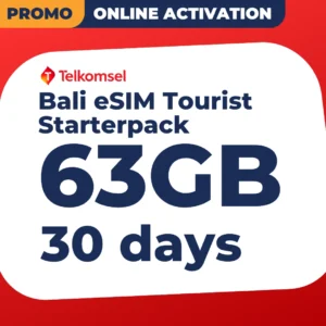 Bali eSIM Tourist - 63GB (30 days)
