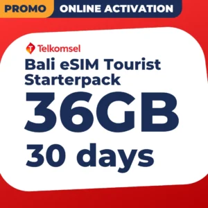 Bali eSIM Tourist - 36GB (30 days)