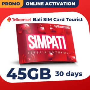 Telkomsel Bali SIM Card 45GB